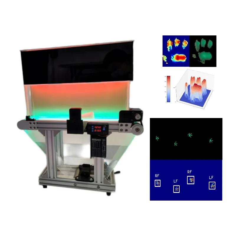 Córas Anailíse Gait Treadmill Ainmhithe