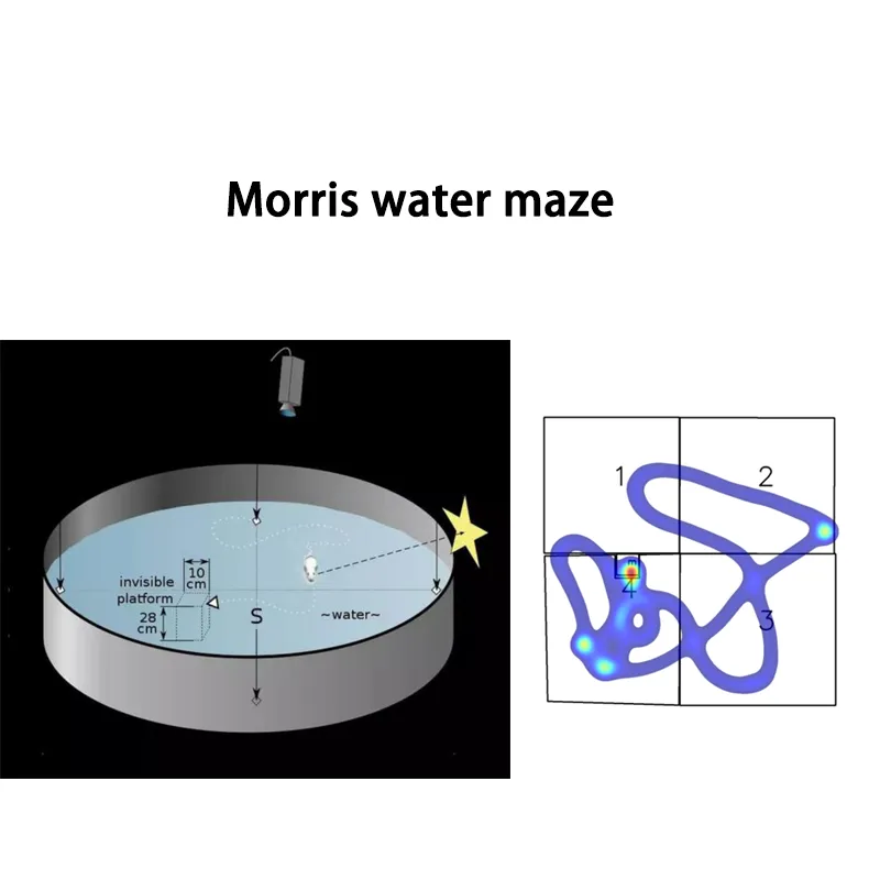 Maze Uisce
